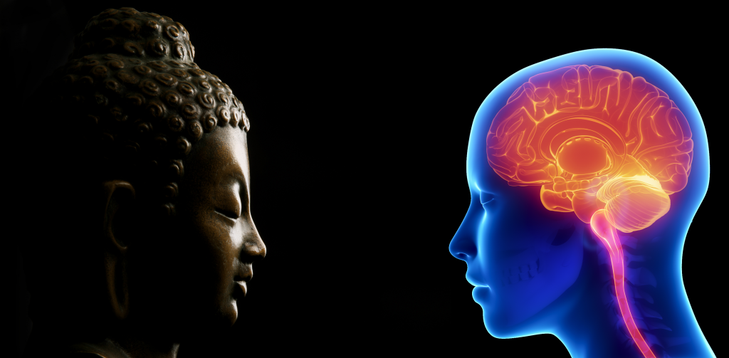 Zen y neurociencia