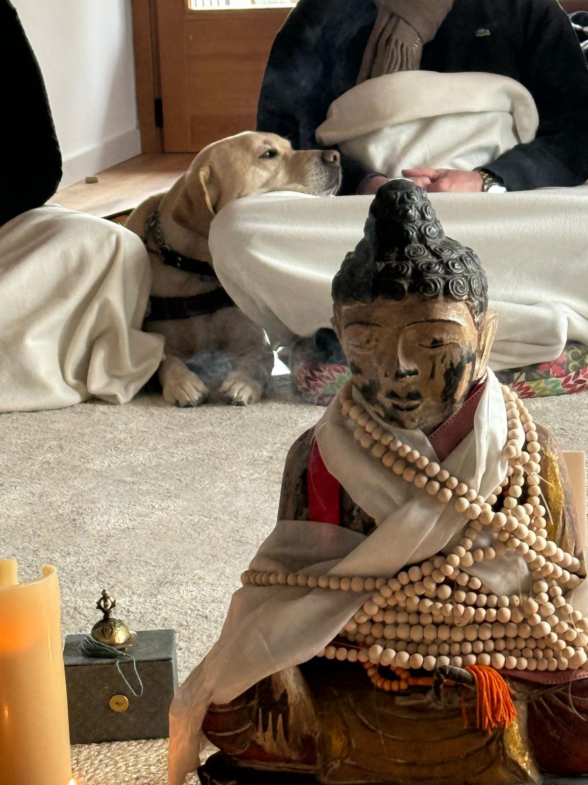 Retiros de meditación Zen